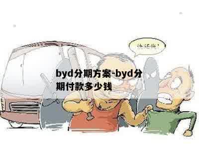 byd分期方案-byd分期付款多少钱