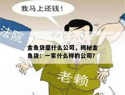 金鱼贷是什么公司，揭秘金鱼贷：一家什么样的公司？