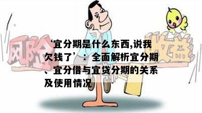 ‘宜分期是什么东西,说我欠钱了’：全面解析宜分期、宜分借与宜贷分期的关系及使用情况