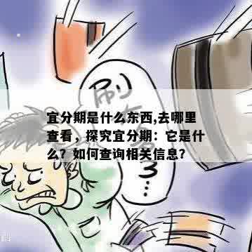 宜分期是什么东西,去哪里查看，探究宜分期：它是什么？如何查询相关信息？