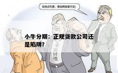 小牛分期：正规贷款公司还是陷阱？