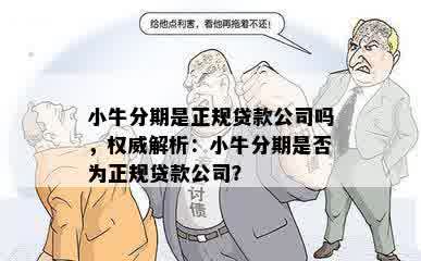 小牛分期是正规贷款公司吗，权威解析：小牛分期是否为正规贷款公司？