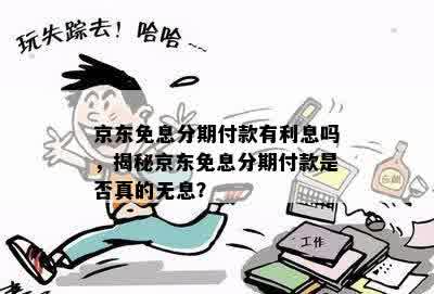 京东免息分期付款有利息吗，揭秘京东免息分期付款是否真的无息？