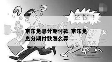 京东免息分期付款-京东免息分期付款怎么弄