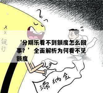 ‘分期乐看不到额度怎么回事？’全面解析为何看不见额度