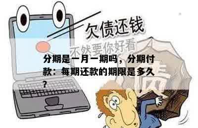 分期是一月一期吗，分期付款：每期还款的期限是多久？