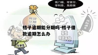 桔子逾期能分期吗-桔子借款逾期怎么办