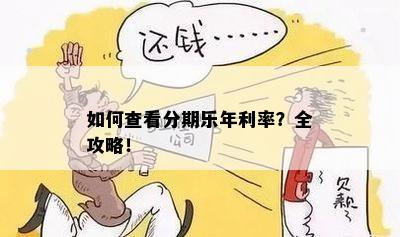 如何查看分期乐年利率？全攻略！