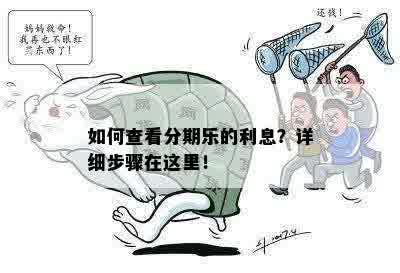 如何查看分期乐的利息？详细步骤在这里！