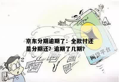 京东分期逾期了：全款付还是分期还？逾期了几期？