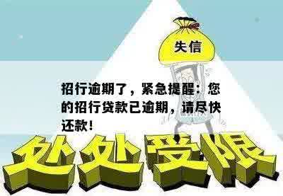 招行逾期了，紧急提醒：您的招行贷款已逾期，请尽快还款！