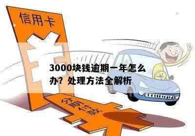 3000块钱逾期一年怎么办？处理方法全解析