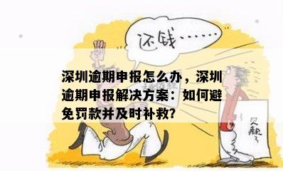 深圳逾期申报怎么办，深圳逾期申报解决方案：如何避免罚款并及时补救？