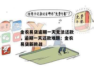 金农易贷逾期一天无法还款，逾期一天还款难题：金农易贷新挑战