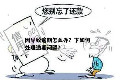 因导致逾期怎么办？下如何处理逾期问题？