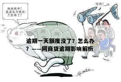 逾期一天额度没了？怎么办？——网商贷逾期影响解析