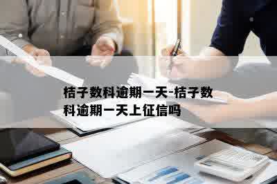 桔子数科逾期一天-桔子数科逾期一天上征信吗