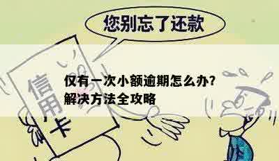 仅有一次小额逾期怎么办？解决方法全攻略