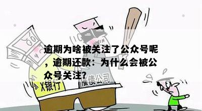 逾期为啥被关注了公众号呢，逾期还款：为什么会被公众号关注？