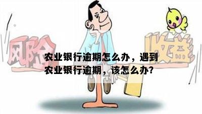 农业银行逾期怎么办，遇到农业银行逾期，该怎么办？