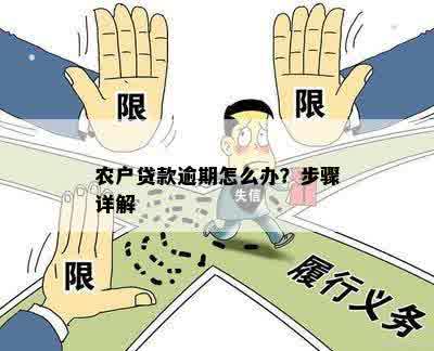 农户贷款逾期怎么办？步骤详解