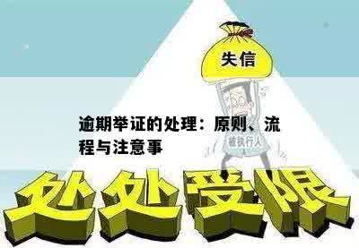 逾期举证的处理：原则、流程与注意事