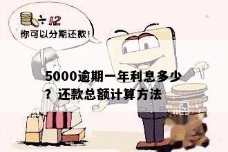 5000逾期一年利息多少？还款总额计算方法