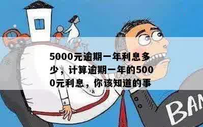 5000元逾期一年利息多少，计算逾期一年的5000元利息，你该知道的事