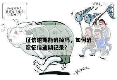 征信逾期能消掉吗，如何消除征信逾期记录？