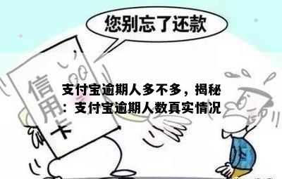 支付宝逾期人多不多，揭秘：支付宝逾期人数真实情况