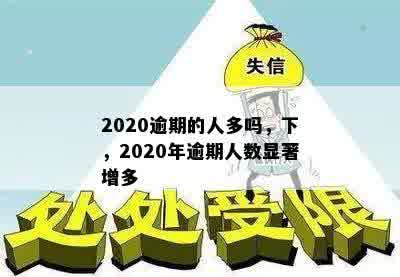 2020逾期的人多吗，下，2020年逾期人数显著增多