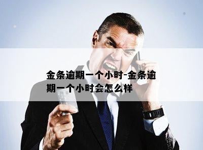 金条逾期一个小时-金条逾期一个小时会怎么样