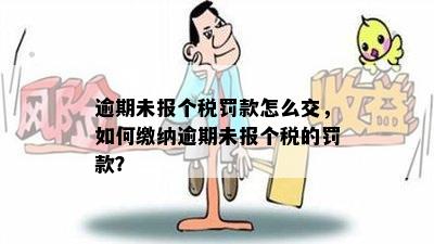 逾期未报个税罚款怎么交，如何缴纳逾期未报个税的罚款？