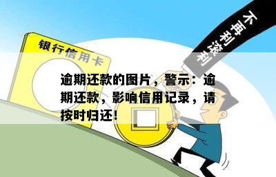 逾期还款的图片，警示：逾期还款，影响信用记录，请按时归还！