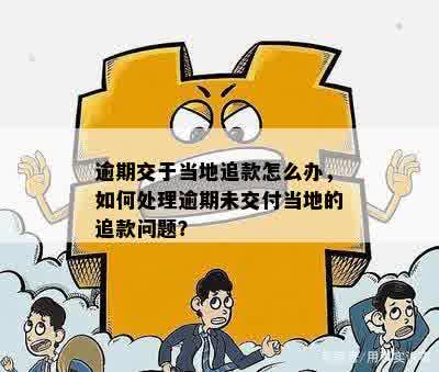 逾期交于当地追款怎么办，如何处理逾期未交付当地的追款问题？