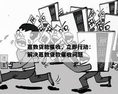 嘉数贷款催收，立即行动：解决嘉数贷款催收问题