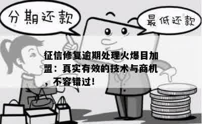 征信修复逾期处理火爆目加盟：真实有效的技术与商机，不容错过！