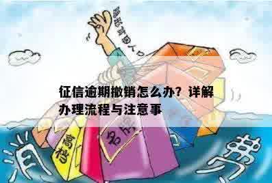 征信逾期撤销怎么办？详解办理流程与注意事