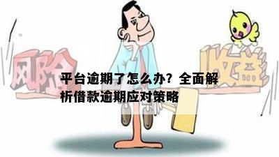 平台逾期了怎么办？全面解析借款逾期应对策略