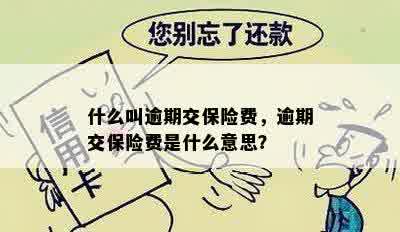 什么叫逾期交保险费，逾期交保险费是什么意思？