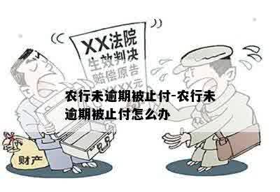 农行未逾期被止付-农行未逾期被止付怎么办