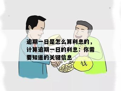 逾期一日是怎么算利息的，计算逾期一日的利息：你需要知道的关键信息