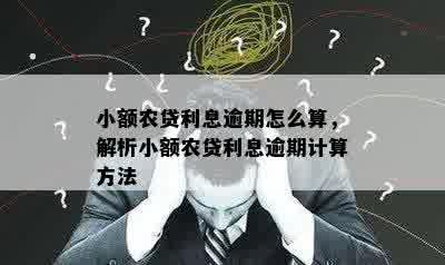 小额农贷利息逾期怎么算，解析小额农贷利息逾期计算方法