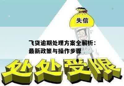 飞贷逾期处理方案全解析：最新政策与操作步骤