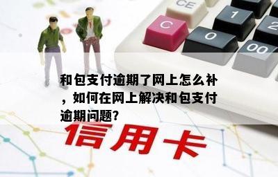 和包支付逾期了网上怎么补，如何在网上解决和包支付逾期问题？