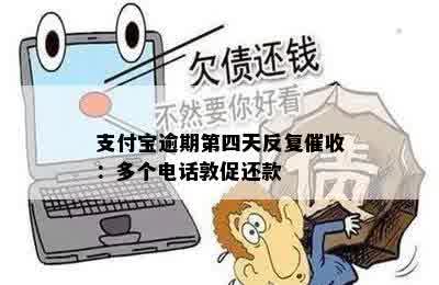 支付宝逾期第四天反复催收：多个电话敦促还款