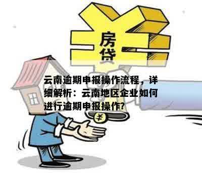 云南逾期申报操作流程，详细解析：云南地区企业如何进行逾期申报操作？