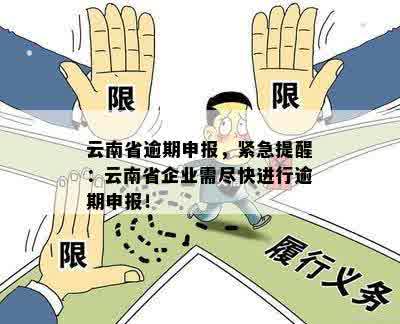 云南省逾期申报，紧急提醒：云南省企业需尽快进行逾期申报！