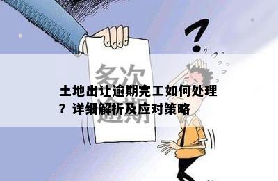 土地出让逾期完工如何处理？详细解析及应对策略