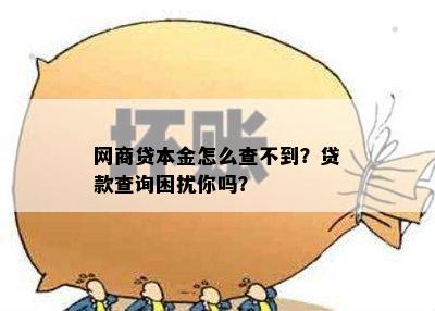 网商贷本金怎么查不到？贷款查询困扰你吗？